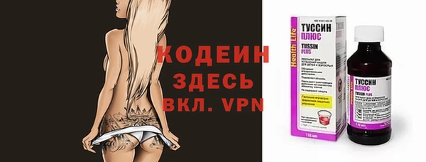 прущие грибы Медвежьегорск