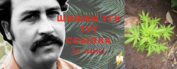 прущие грибы Медвежьегорск