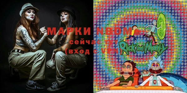 прущие грибы Медвежьегорск