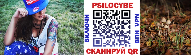 Псилоцибиновые грибы мухоморы дарк нет как зайти Суворов цена